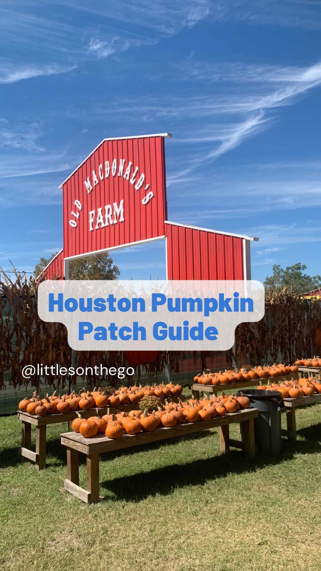 Houston Pumpkin Patch Guide 2023 Littles On the Go